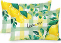 Summer Lemon Pillow Cases Standard Size Set of 2, Botanical Fruit Leaves Yellow Green Striped Satin Pillowcase with Zipper for Hair/Skin, Decorative Pillow Covers for Bed/Couch/Sofa, 20x26 Inches