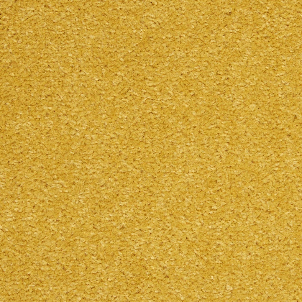 Nourison Essentials Yellow 5' x Square Area Rug - Easy Clean, Non Shedding, Bed Room, Living Room, Dining Room, Kitchen (5' x Square)