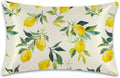 1 Pack Satin Pillowcase for Hair and Skin Yellow Lemon Retro Imitation Silk Pillowcase 20" x 36" with Hidden Zipper Soft Smooth Cooling Pillow Cover King Size for Bedroom Sofa