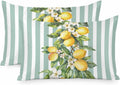 Yellow Lemon Floral Standard Pillowcase Set of 2, Sage Green Stripe Satin Pillow Case Cover with Smooth Hidden Zipper Closure, Soft Throw Pillow Covers Cases for Home Decoration 20 X 26 Inches