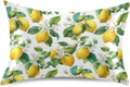 Satin Pillowcase 1 Pack Lemon Yellow Citrus Fruits (13) Similar to Silk Pillow Cases, 20" x 26" Soft Smooth Breathable Cool Pillow Cover for Hair and Skin, Standard Size
