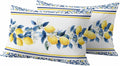 Summer Lemon Outdoor Pillow Covers Pack of 2 Lemon Flower Mediterranean Waterproof Garden Farmhouse Cushion Cases Decorative for Patio Furniture Balcony Couch Sofa 20 x 12 Inch