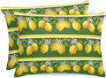 Lemon Summer 2 Packs Bed Pillow Covers Standard Decorative, Throw Pillow Cases Breathable Bedding Pillowcase, Soft Stain Pillows Shams Zipper Closure Watercolor Fruits Green Yellow Stripes 20"x26"